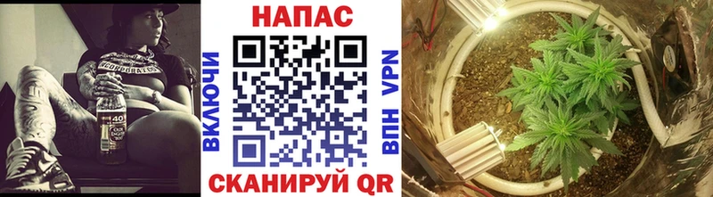 Продажа наркотиков Кировград Галлюциногенные грибы  СОЛЬ  Меф  Cocaine  МАРИХУАНА 