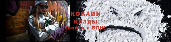 крисы Карпинск