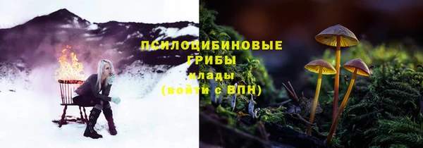 крисы Карпинск
