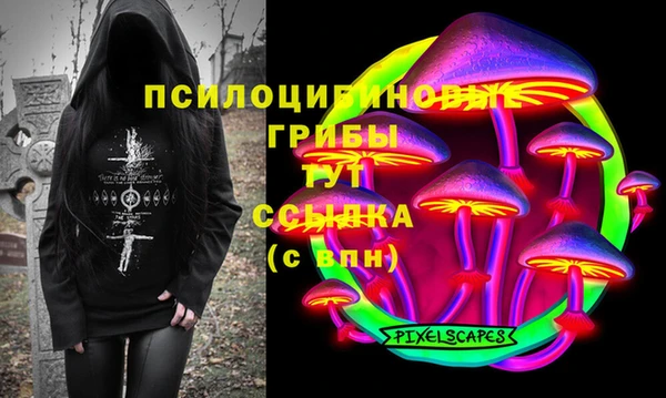 крисы Карпинск