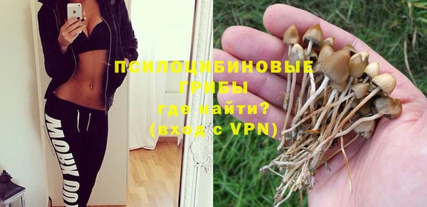 ПСИЛОЦИБИНОВЫЕ ГРИБЫ Киренск