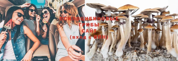 каннабис Инта