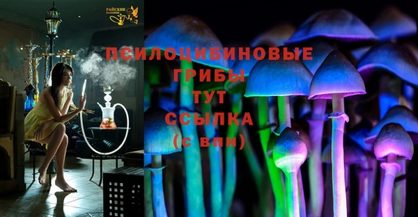 дурь Кинешма