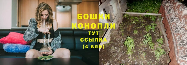 крисы Карпинск